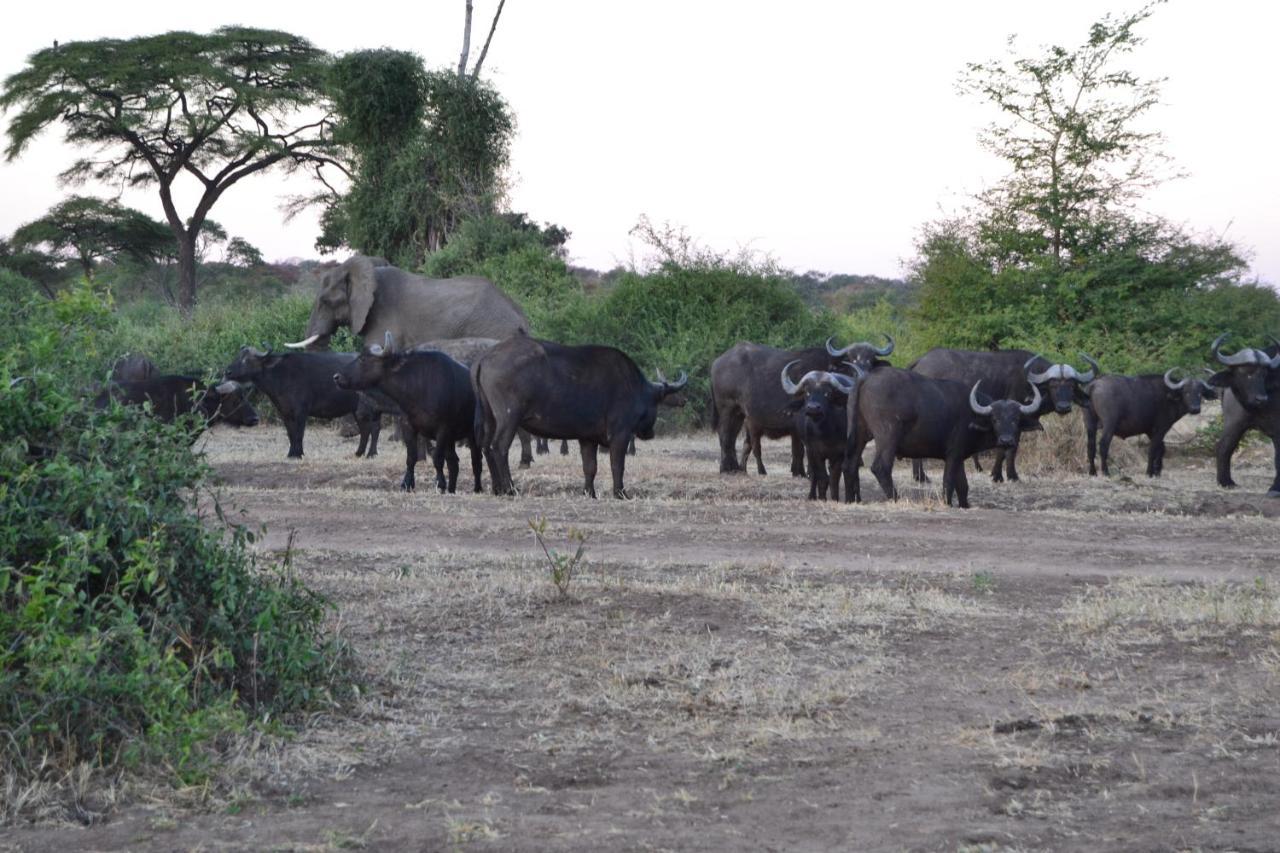 Chobe Sunset Chalets Lesoma Bagian luar foto