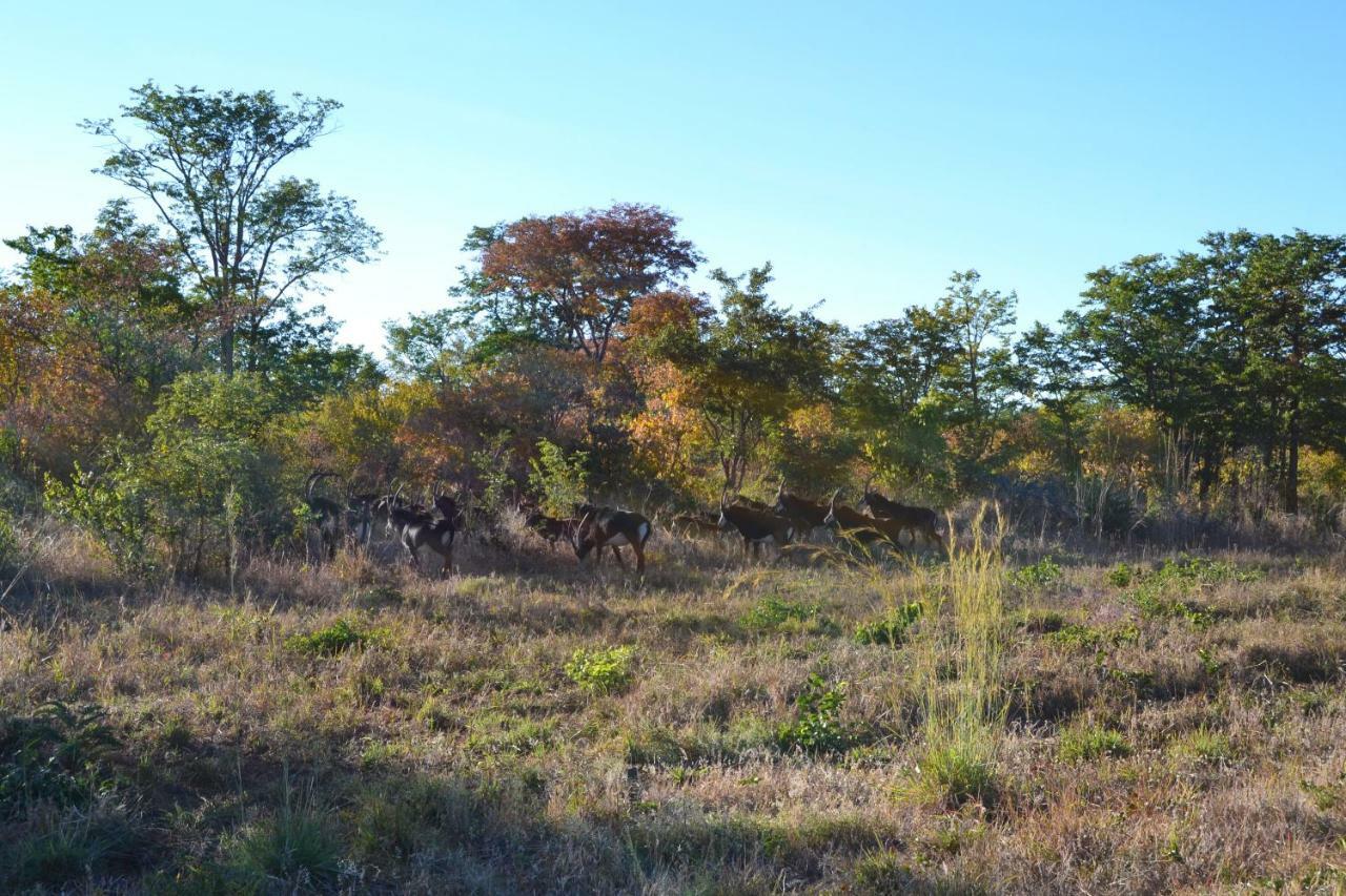 Chobe Sunset Chalets Lesoma Bagian luar foto
