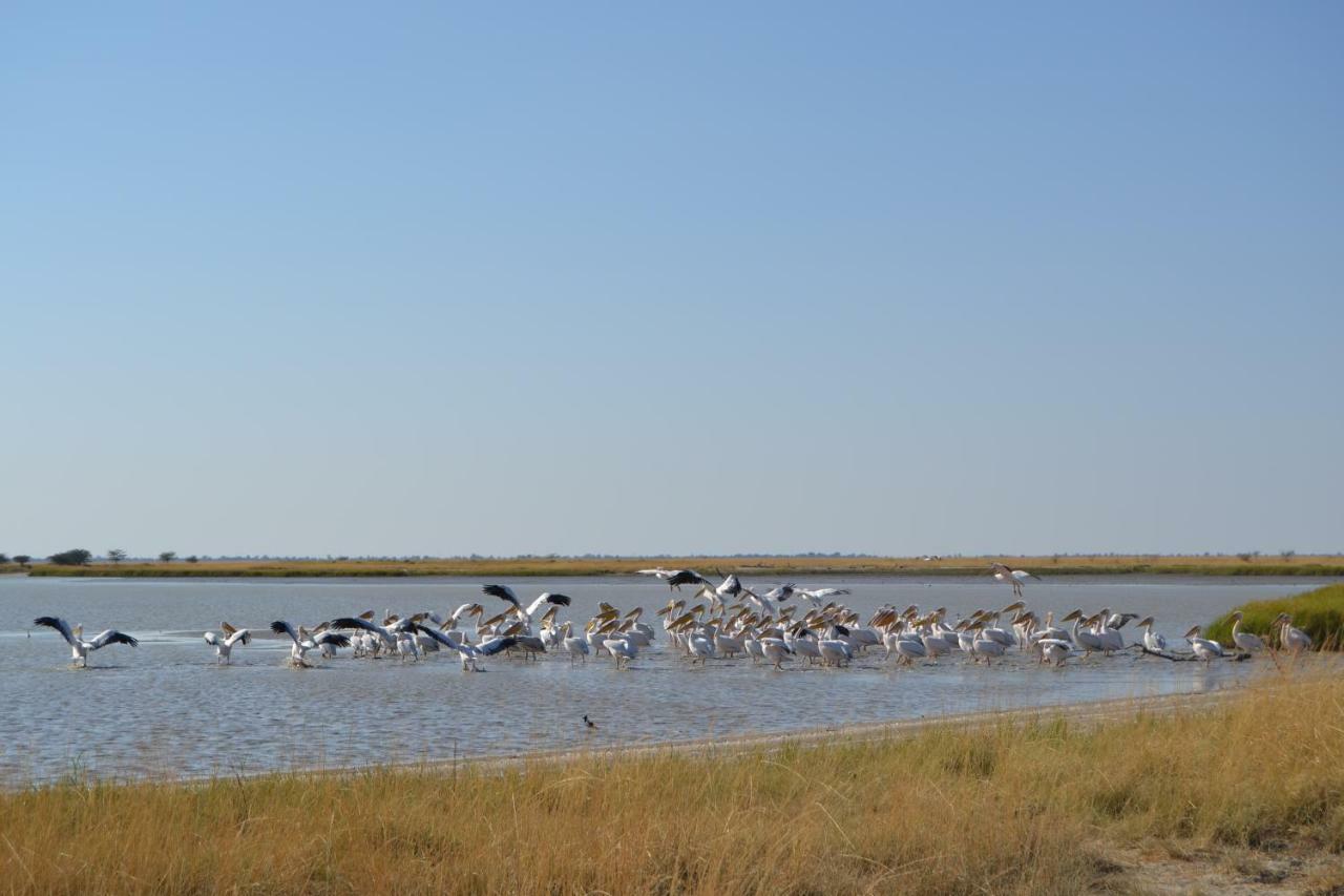 Chobe Sunset Chalets Lesoma Bagian luar foto