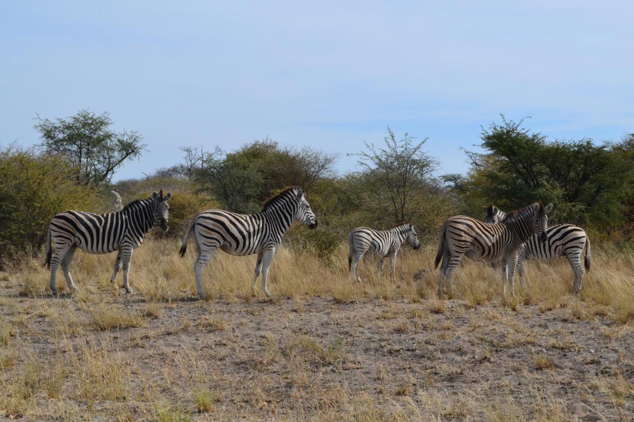 Chobe Sunset Chalets Lesoma Bagian luar foto