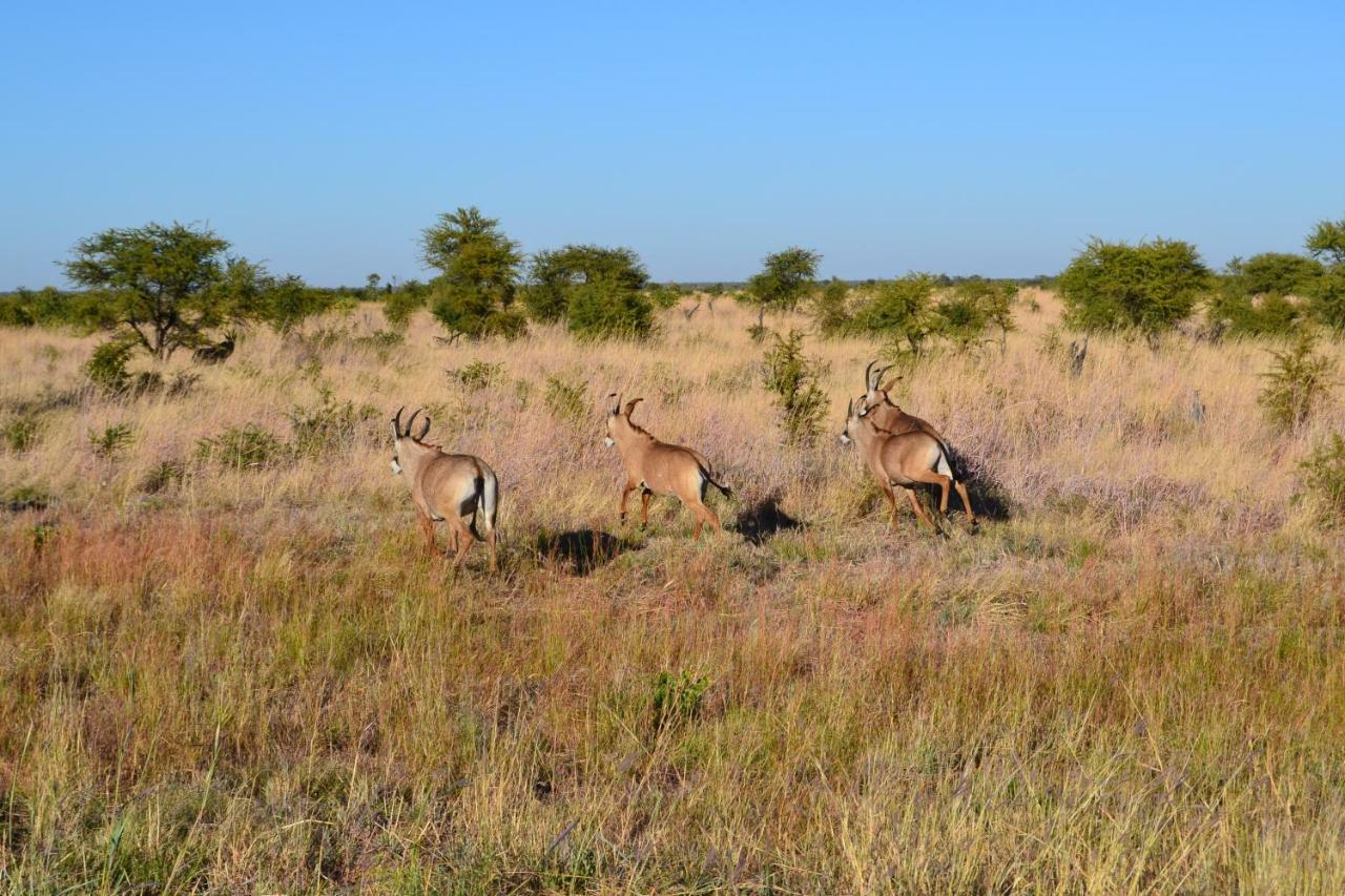 Chobe Sunset Chalets Lesoma Bagian luar foto
